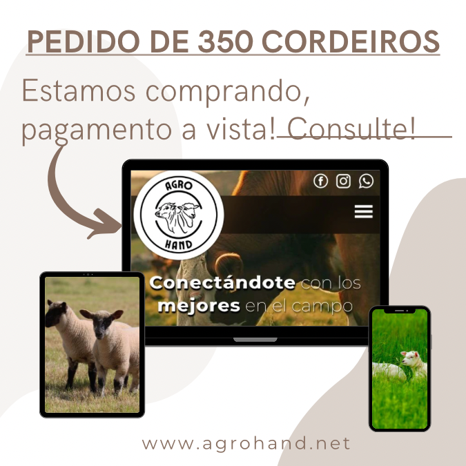Pedido Cliente 